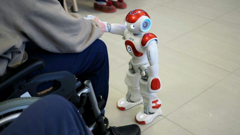 Robots and the Elderly