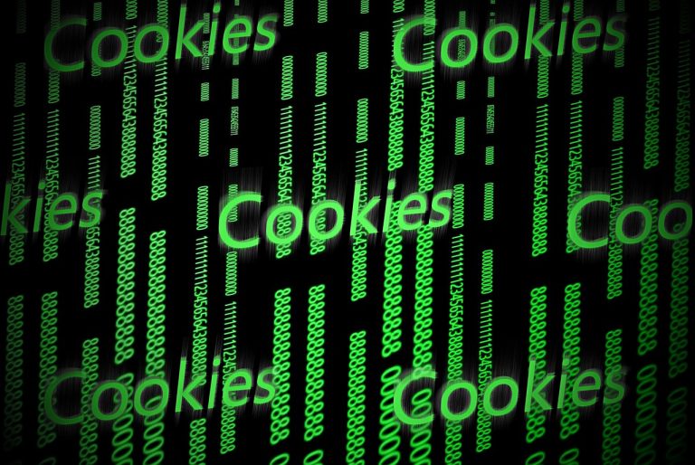 HTTP Cookies Are Evil - Get Rid of Them - Blink Team