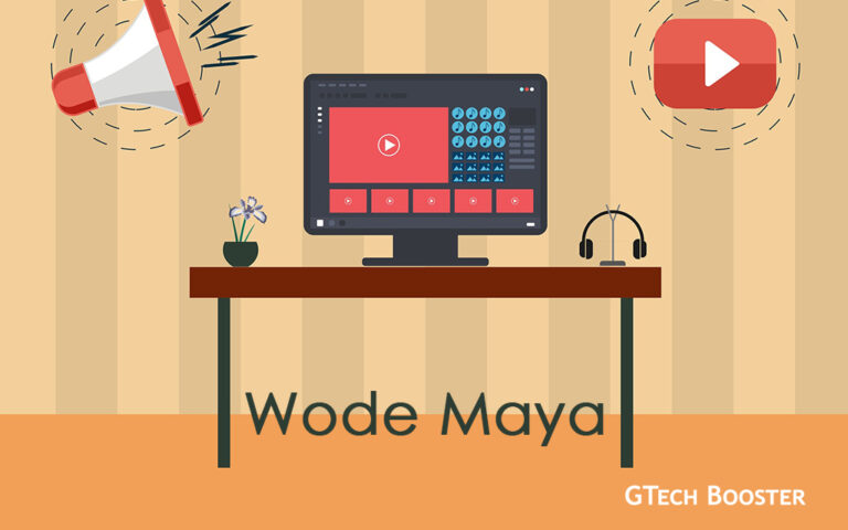 Lamentations of how 1M YouTube channel Wode Maya became Micro Strategy
