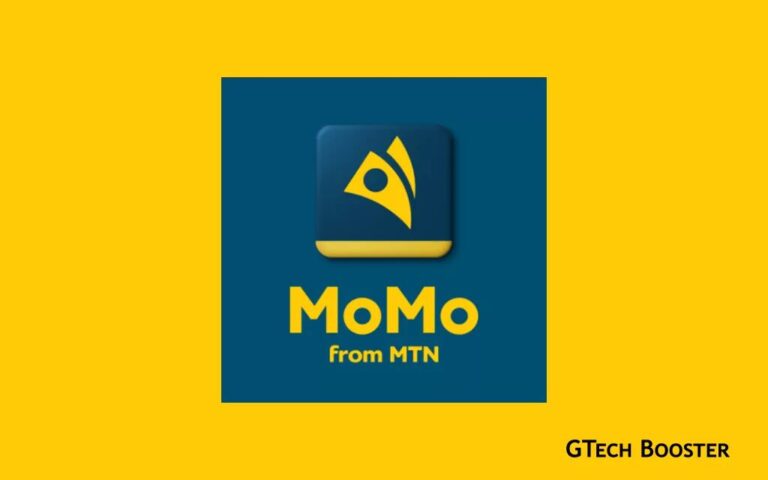 mtn momo api dictionary for developers jpg